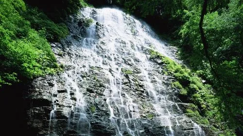 节能信息化